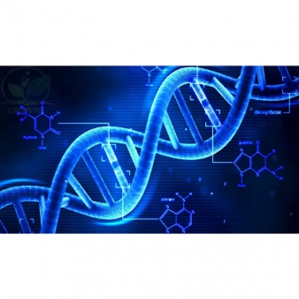 General Biology Products